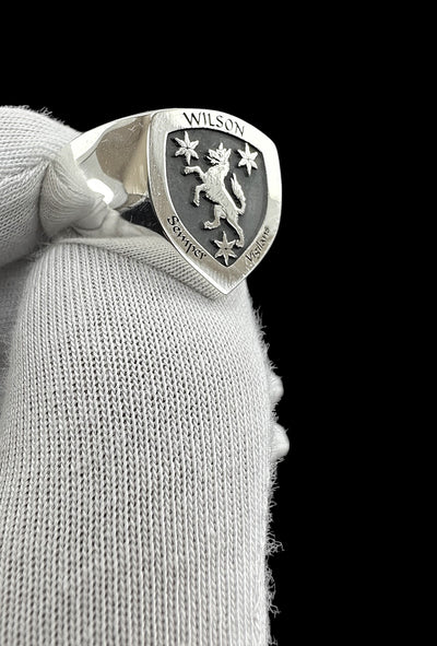 Coat of Arms Ring, Family Crest Rings, Custom Signet Ring, Crest Ring, Family Crest Signet Ring Christmas Gift